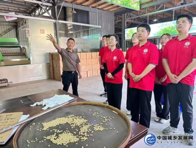香港免费资料大全