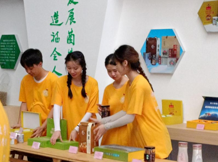 香港免费资料大全