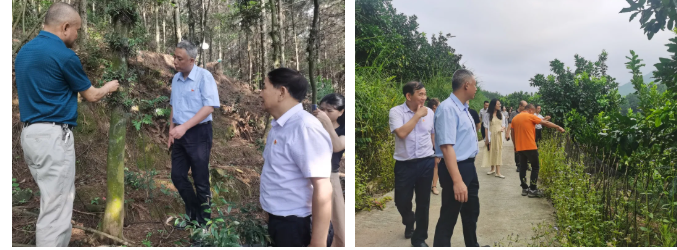 香港免费资料大全