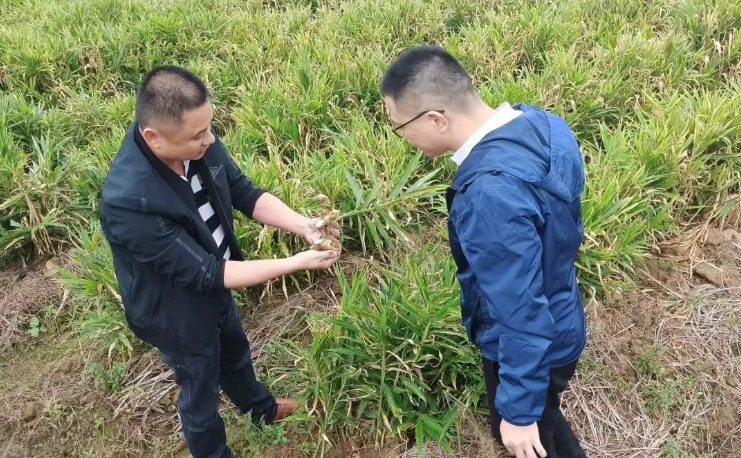 香港免费资料大全