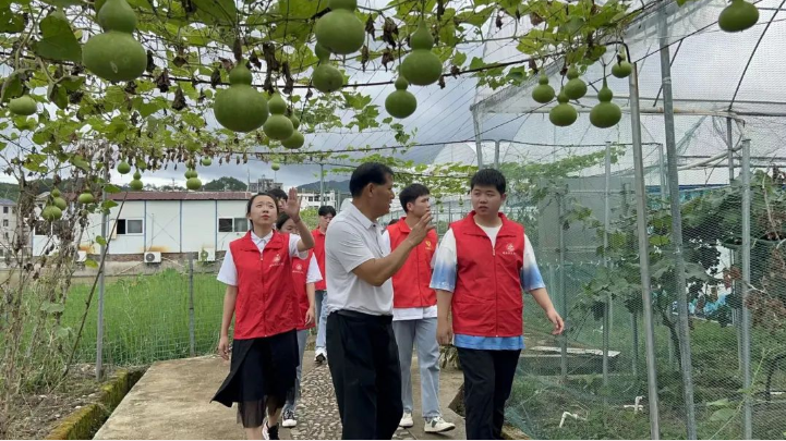 香港免费资料大全