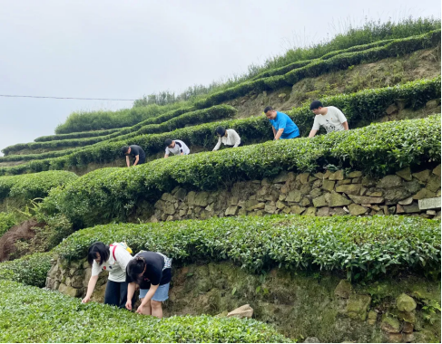 香港免费资料大全