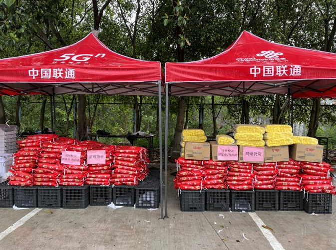 香港免费资料大全
