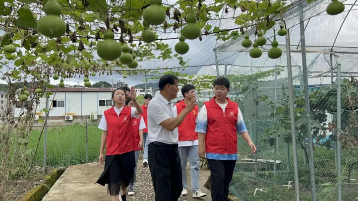 香港免费资料大全