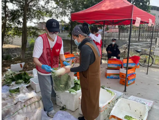 香港免费资料大全