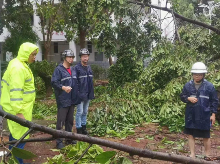 香港免费资料大全