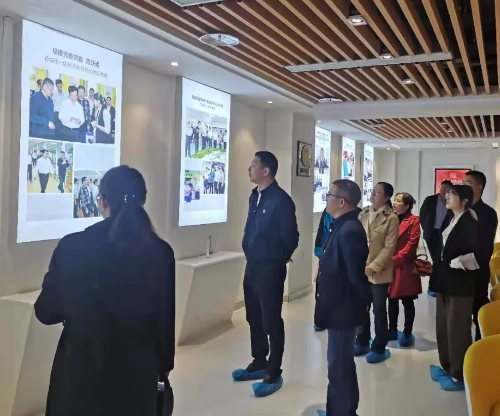 香港免费资料大全